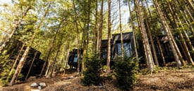 Hotel FISCHERWIRT Natur.WaldSPA Hotel FISCHERWIRT Natur.WaldSPA