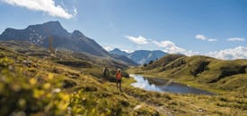 Kulinarischer Hochgenuss Kulinarischer Hochgenuss