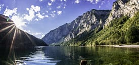 Das Grüne Herz Österreichs Das Grüne Herz Österreichs