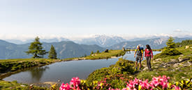 Sommerurlaub ohne Auto